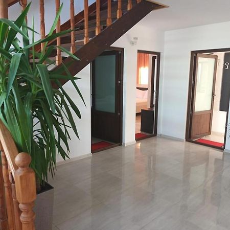 Vila Maranca Otel Două Mai Dış mekan fotoğraf
