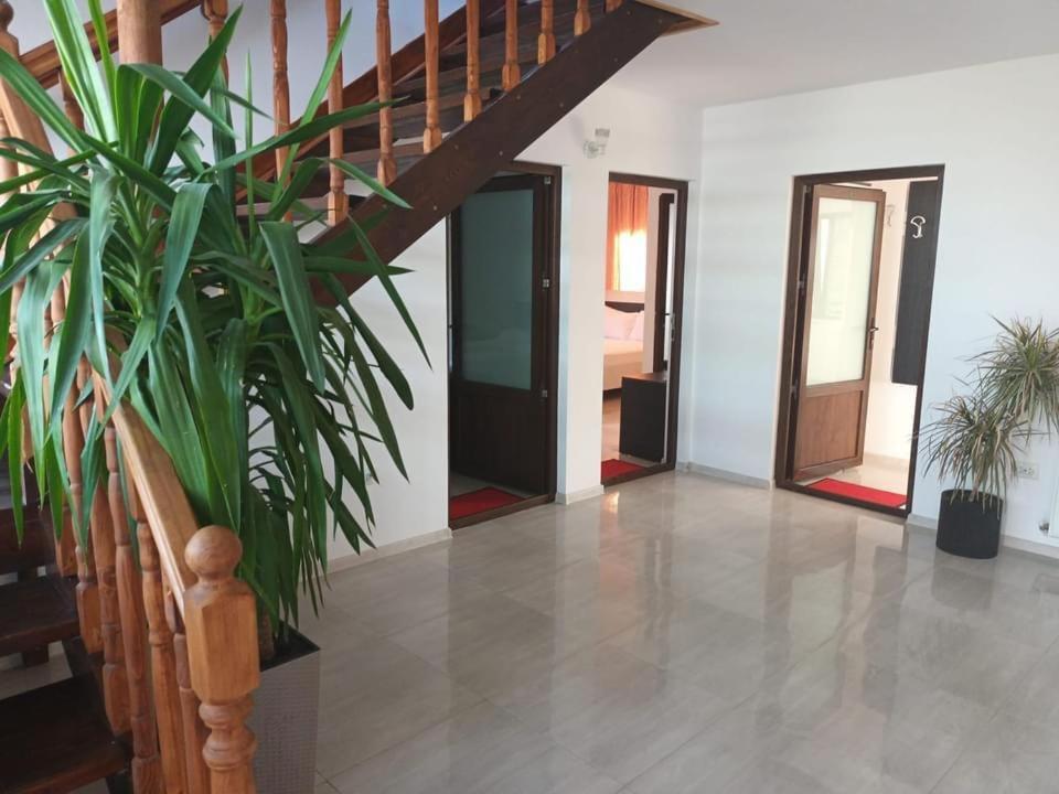 Vila Maranca Otel Două Mai Dış mekan fotoğraf